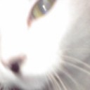 「絶対騙されてるって！」