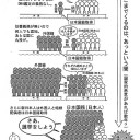 12月5日: Cruel Ultimatum(ALA)