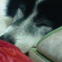 ネムネムzzz
