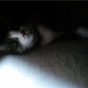 いまのうちか