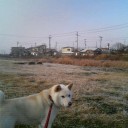 昨日今日と