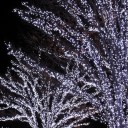 12月23日の日記