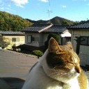 正月也。