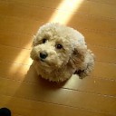 萌えましておめでとうございます。