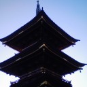 発毛で。