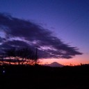 分け入っても分け入っても鉄屑の山　“本年もぐんにゃりと生温かく柔らかめ”　の巻
