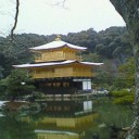 2008→2009