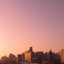 1月8日の日記