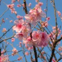 のんびりな一日だよん・・・雨だけど；