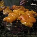３人の冬休み２００８－２００９閉幕　“ｴｯﾁな26北へ！”　の巻
