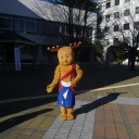 遠くからお疲れ様でした。
