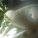 あたしの役割。