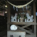 白い狛猫
