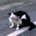 虚しかねぇか？