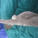 やりたくない事はやりたくない　“我ハ華麗ニ颯爽ト敵前逃亡セリ”　の巻