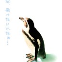 けんしゅー