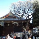 湯島天神にて
