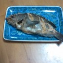 ねうじゃなくて、メバルだった・・・・
