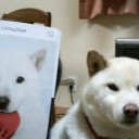 今日から２月