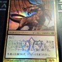 本日の収穫