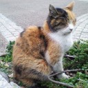 港がみえる