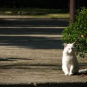 金曜〓慣れるまで〓