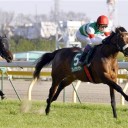 第43回 共同通信杯(ＧⅢ)、第14回 シルクロードＳ(ＧⅢ)