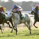 第43回 共同通信杯(ＧⅢ)、第14回 シルクロードＳ(ＧⅢ)