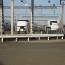 目的はコレです