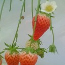 おやすみ。