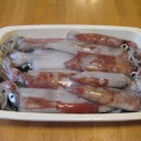 アニ～より　今年の初釣果