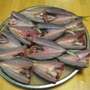 アニ～より　今年の初釣果