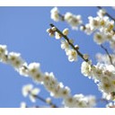 2月11日の日記