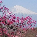 今日の気温２５℃