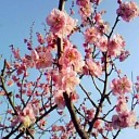 人生は一度きりなのに