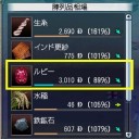 宝石の旅・・・