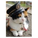 たま電車・・・
