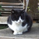 感想（ウラではサブタイプに関して）