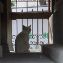 感想（ウラではサブタイプに関して）