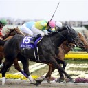 第26回 フェブラリーステークス(ＧＩ)