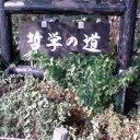 2月25日の日記