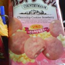 生徒なんてそんなもの。だけれど。だからさ。