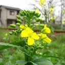 木曜〓曇りでも〓