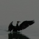 土曜〓思っていたより〓