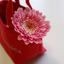 さんがつ