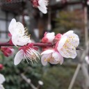 天神さん