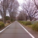 父親と次男と並木道
