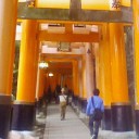 PT京都（観光）