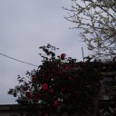 気持ちのきりかえ