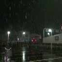 降ってます。